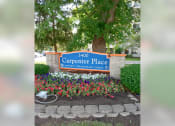 Thumbnail 3 of 22 - a sign for carpenter place in front of a tree