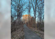 Thumbnail 5 of 22 - a path through the woods with a building in the background