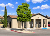 Thumbnail 1 of 6 - A building with a tree in front of it.