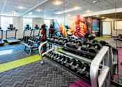 Thumbnail 13 of 25 - A gym with a variety of equipment including treadmills, weights, and exercise machines.