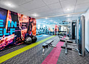 Thumbnail 12 of 25 - A gym with a variety of equipment including a bench, weights, and a treadmill.