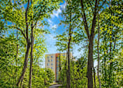 Thumbnail 5 of 12 - A tree-lined path in a park with a building in the background.