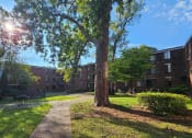 Thumbnail 3 of 7 - our apartments are located in a quiet area with a tree