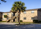 Thumbnail 3 of 3 - A building with a palm tree in front of it.