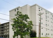 Thumbnail 15 of 15 - a large white building with a tree in front of it