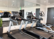 Thumbnail 25 of 43 - A gym with treadmills and elliptical machines.