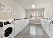 Thumbnail 9 of 16 - A laundromat with rows of washers and dryers.