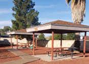 Thumbnail 9 of 11 - a picnic pavilion with benches in a park