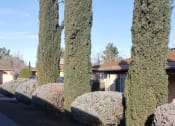 Thumbnail 10 of 11 - a group of trees with rounded bushes in front of a house