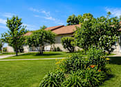 Thumbnail 10 of 12 - A house with a lawn and trees in front of it.