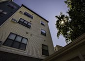Thumbnail 4 of 21 - A tall building with a tree in front of it.