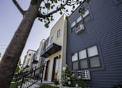 Thumbnail 3 of 21 - A tree is in front of a blue house.