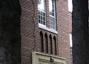 Thumbnail 22 of 27 - A tall tree stands in front of a brick building with a white door.