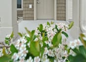Thumbnail 13 of 13 - A beige door is flanked by two white columns.