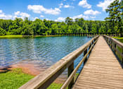 Thumbnail 2 of 2 - A wooden walkway leads to a serene lake surrounded by lush green trees.