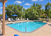 Thumbnail 10 of 10 - A pool surrounded by trees and chairs with a no diving sign.