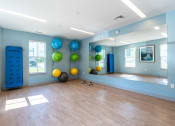 Thumbnail 9 of 28 - a yoga room with a large mirror and a colorful ball system on the wall