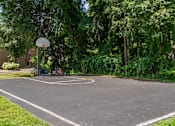Thumbnail 39 of 39 - A basketball court surrounded by trees and bushes.