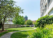 Thumbnail 10 of 12 - A green tree is in the foreground of a city park.