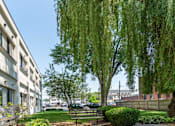 Thumbnail 2 of 12 - A weeping willow tree is in the foreground of a sunny day.