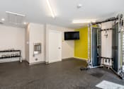 Thumbnail 11 of 19 - Community Fitness Center with weights and a tv on the wall at Station Pointe Apartments, Mansfield, MA, 02048