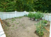 Thumbnail 11 of 23 - Gardening Area For Residents Usage at The Birches at Esopus,New York