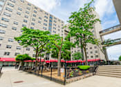 Thumbnail 2 of 8 - A tree-lined courtyard in front of a large building.