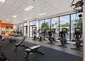 Thumbnail 4 of 15 - A gym with a variety of equipment including treadmills, weights, and exercise machines.