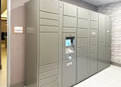 Thumbnail 20 of 36 - Package Room  at Douglas Enclave, Florida