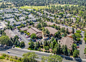 Thumbnail 42 of 42 - A bird's eye view of a residential area with houses and trees.