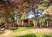 Thumbnail 4 of 42 - A house surrounded by trees with red leaves.