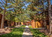Thumbnail 5 of 42 - A tree-lined walkway leads to a series of buildings.