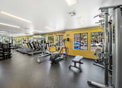 Thumbnail 8 of 18 - A gym with a variety of equipment including treadmills, weights, and exercise machines.