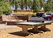 Thumbnail 7 of 18 - An outdoor ping pong table and fire pit.