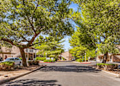 Thumbnail 2 of 22 - A tree-lined street with a car parked on the side.