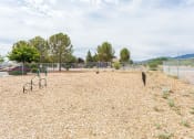 Thumbnail 19 of 32 - Dog Park at Rio Verde Apartments, Cottonwood, Arizona