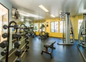 Thumbnail 42 of 56 - Modern Fitness Center at Woodlands Village Apartments, Arizona