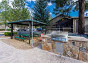 Thumbnail 48 of 56 - Outdoor Grill With Intimate Seating Area at Woodlands Village Apartments, Flagstaff