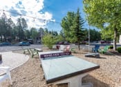 Thumbnail 52 of 56 - Outdoor Ping-pong Table at Woodlands Village Apartments, Flagstaff, AZ