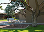 Thumbnail 3 of 22 - a tree with mailboxes and landscaping at apartments for rent