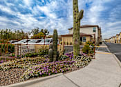 Thumbnail 1 of 32 - A cactus is in the front yard of a home.