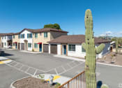 Thumbnail 7 of 32 - a cactus plant in front of a parking lot