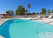 Thumbnail 8 of 22 - a swimming pool at an apartment community with palm trees