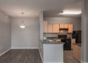 Thumbnail 9 of 14 - Kitchen / dinning