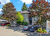 Thumbnail 4 of 42 - A tree with red leaves is in front of a grey house.