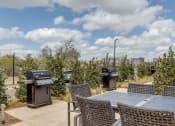 Thumbnail 1 of 14 - Onsite Grill