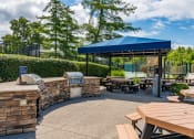 Thumbnail 48 of 54 - Picnic area at Indian Creek Apartments, Cincinnati, Ohio, 45236