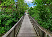Thumbnail 54 of 54 - A wooden bridge leads through a lush green forest.