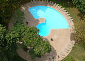 Thumbnail 12 of 25 - A small round pool surrounded by trees and chairs.