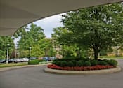 Thumbnail 22 of 25 - A large tree is in the middle of a circular flower bed.
